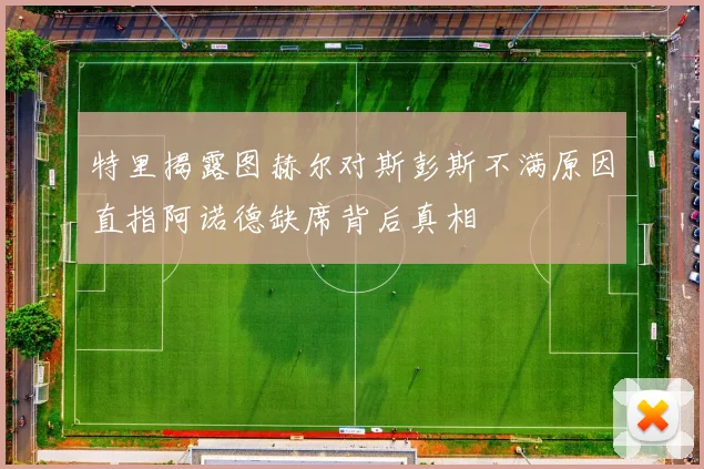 特里揭露图赫尔对斯彭斯不满原因直指阿诺德缺席背后真相